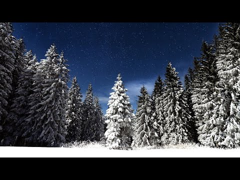 Dennis Kuo Starry Winter Feat StudyMusicProject