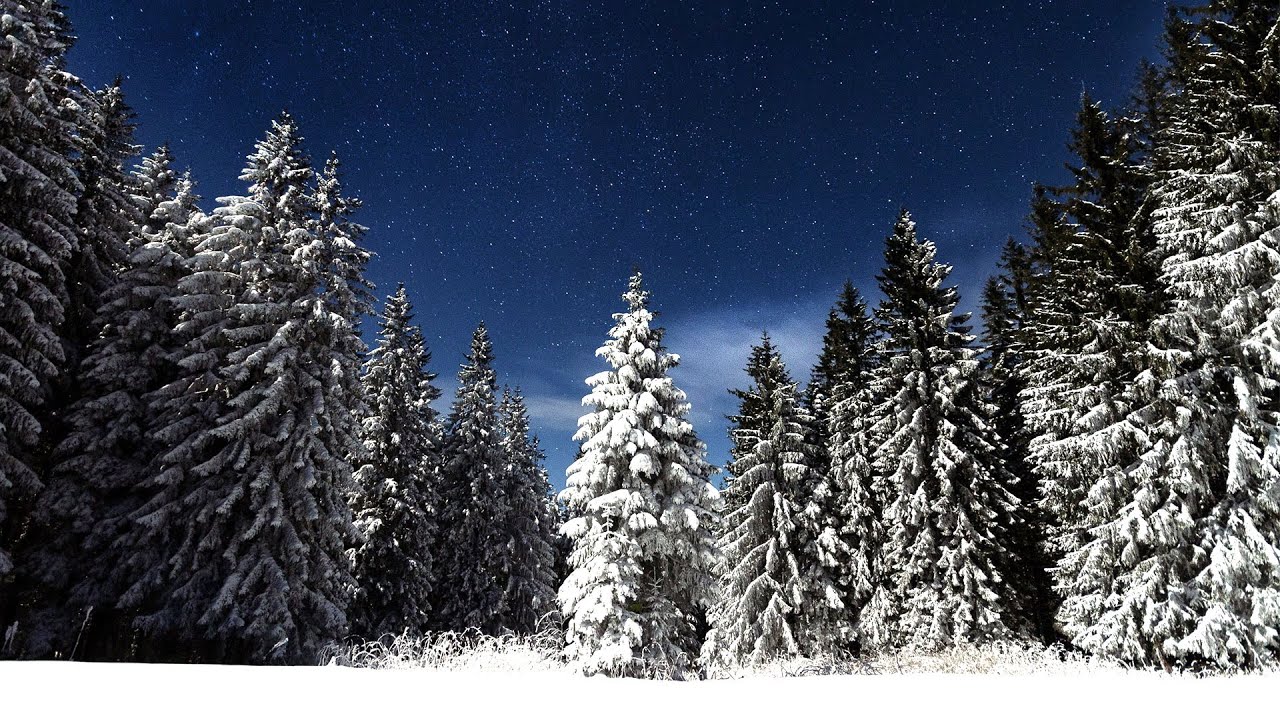 Dennis Kuo - Starry Winter (feat. 