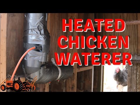 Heated Pvc Chicken Water Update Using An Aquarium Heater Youtube