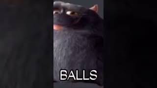 Rat balls