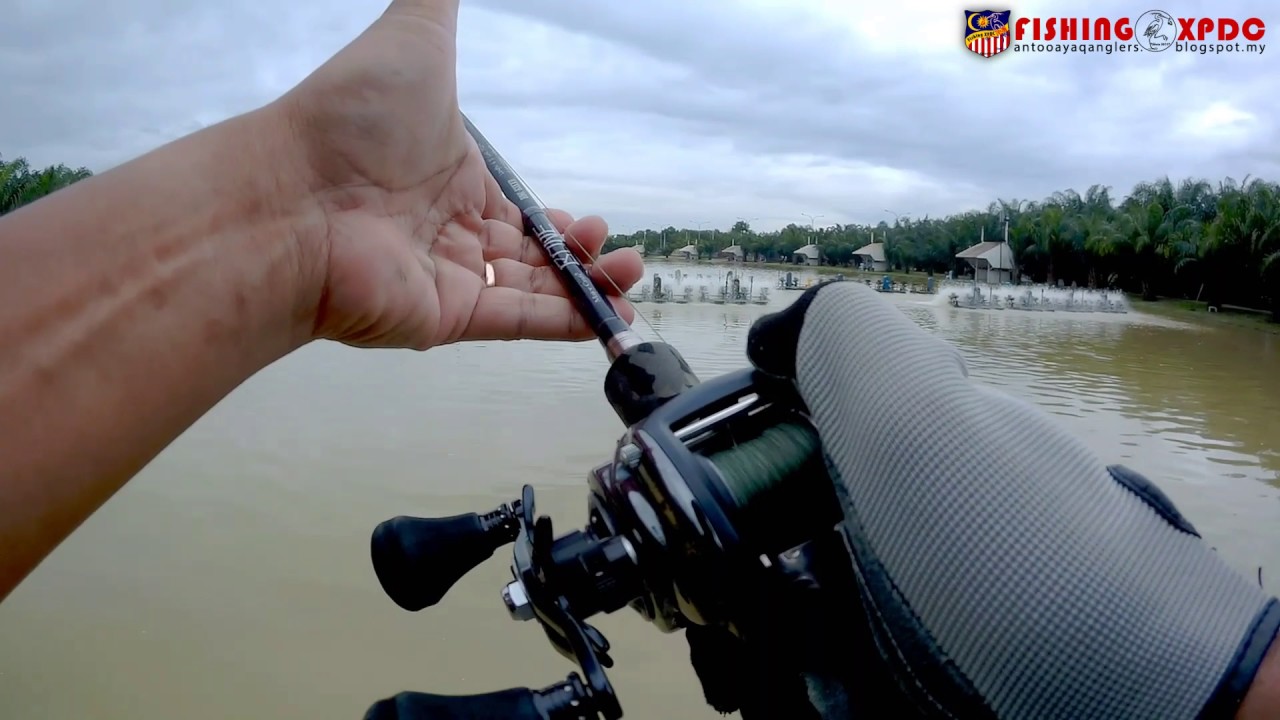 Catfish Casting Natural Exotic Fish Fishing Pond (1 Jan 2017) YouTube