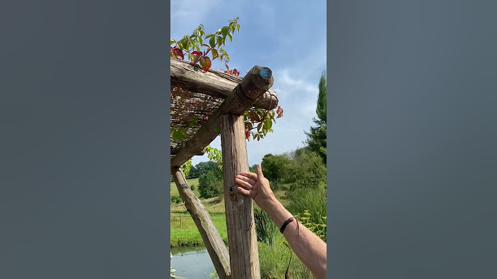 Comment construire une pergola. #pergola #creativegardening #paysagiste  #conseiljardinage #jardin