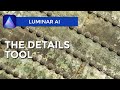 The Details Tool - Luminar AI