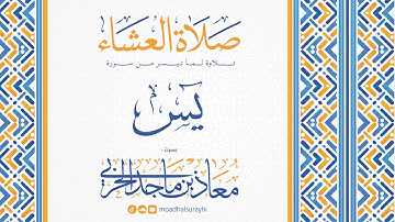 ما تيسر من سورة يس - عشائيات شهر شعبان 1446هـ - معاذ الحربي