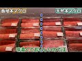 生マグロ 仕入れ【 ポイント解説・ せり人ムタロー 】