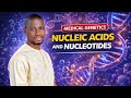 Nucleic Acids and Nucleotides Explained | Medical Genetics &amp; 100 Level Biology @DeOracleTutorials 