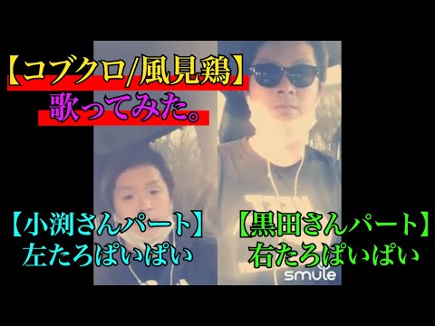 【コブクロ／風見鶏】歌ってみた。