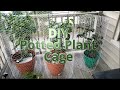 Potted Photos Plants Of