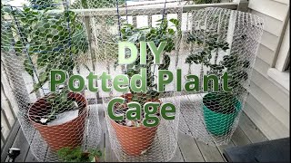 #1 Amazing DIY Squirrel Proof Potted Plant Cage For Patio