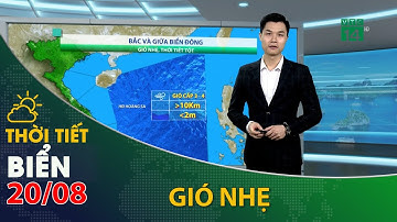 Thời tiết biển ngày 20/08/2021:các vùng biển nước ta đang có những ngày thời tiết tốt | VTC14