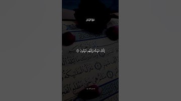 سورة الزمر | تلاوة مؤثرة تهز القلوب وتريح النفوس"