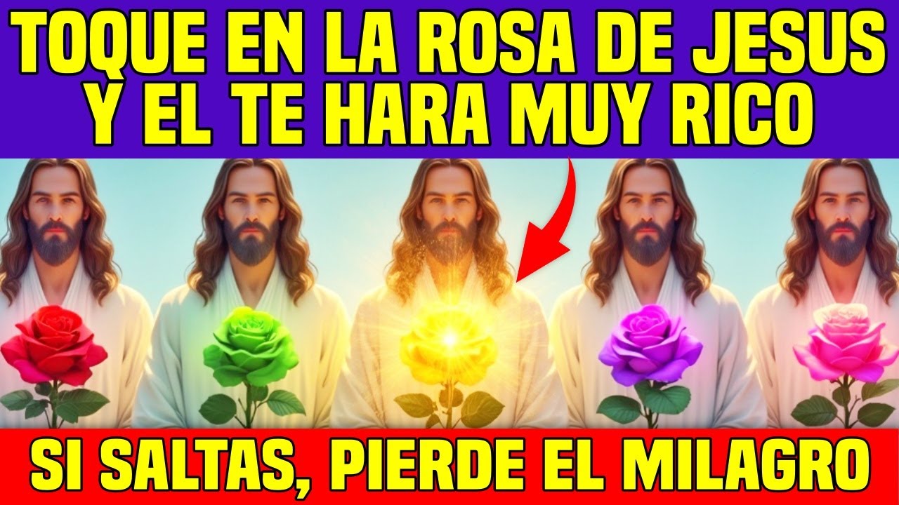 🌹 Toca La Rosa Que Jesús Eligió Para Ti Hoy y Ve El Milagro Suceder ...