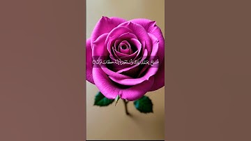 قرآن كريم سورة النصر #قرآن