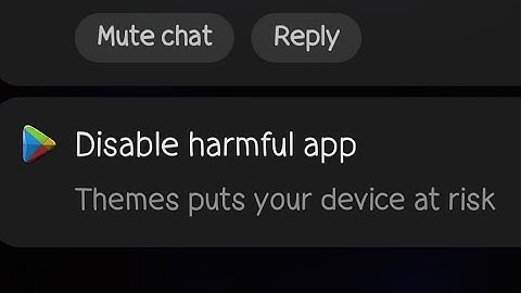 Xiaomi Themes was killed by Google Play Protect.