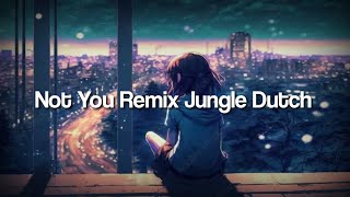 Alan Walker - Not You (Scarlet Fvnky Remix) Jungle Dutch