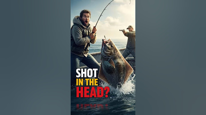 “Get the 9 milli!” – Then They Shot This 200 LBS Halibut in the Head! Unbelievable Catch!