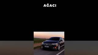 Yine Severdim Cesaretin Varmı Aşka Resimi