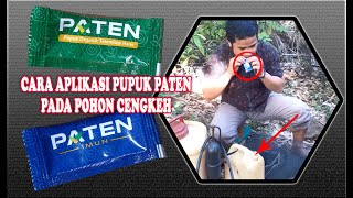 Download Lagu Pengocoran pada pohon cengkeh, Paten Pupuk MP3