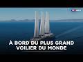À bord du plus grand voilier du monde｜TF1 INFO