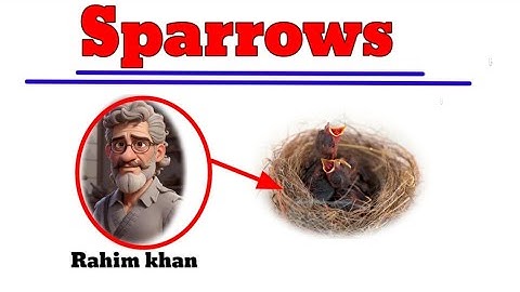 sparrows by k.A. Abbas in hindi with notes | sparrows short story #lnmu