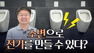 암모니아에서 에너지를 뽑아낸다? 소변, 오줌이 미래다!