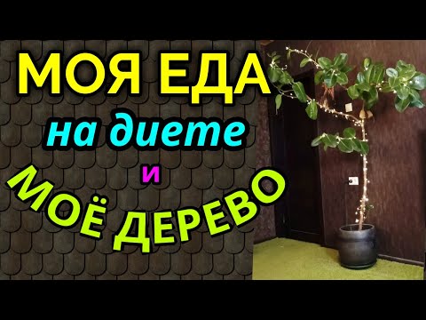 Моя еда на диете /как я похудела на 94 кг и улучшила здоровье