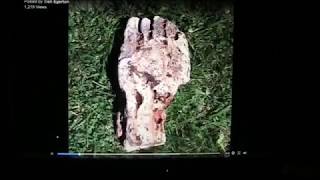 Ancient soft tissue Human Foot preserved screenshot 1