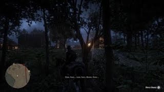 Red Dead Redemption 2_crazy lady at the Braithwaite manor