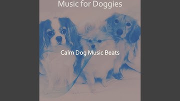 Delightful Moods for Relaxing Puppies