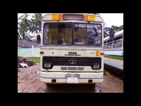 Tata 1510 Bus For Sale In Sri Lanka Www Adsking Lk Youtube