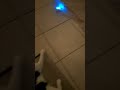 Sofi S New Toy Sofi S New Toy