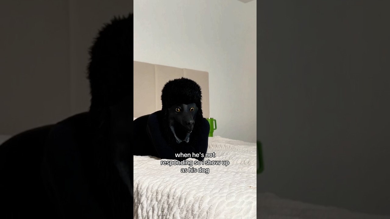 Fr😂❤️ #viral #couple #funny