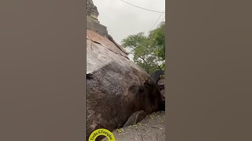 வள்ளிமலை முருகன் | வேலூர் அருகில் | #vallimalai #cave #jains