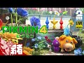【新米レスキュー出動!!】弟者の「ピクミン4」【2BRO.】