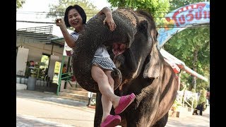 ФОЖЕА БИЛАН ЯКУН ТОПГАН САЕХАТ