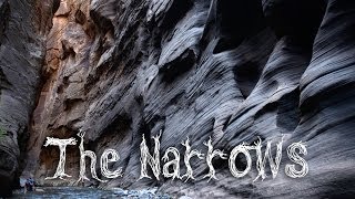 Unboring Exploring The Narrows Of Zion Np