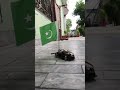 rc drifting car 🚙 pakistani 🇵🇰 flag ##youtubeshorts #trending #1000subscriber #pakistan