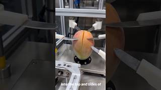 Fully Automatic Mango Processing Line: From Fresh Fruit to Perfect Cubes #usa #nature #viralvideo