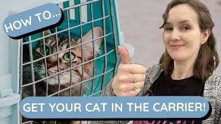 The easy way to get your cat into the carrier  #catlife #cat #cathelp #catbehaviour #caturday #cats