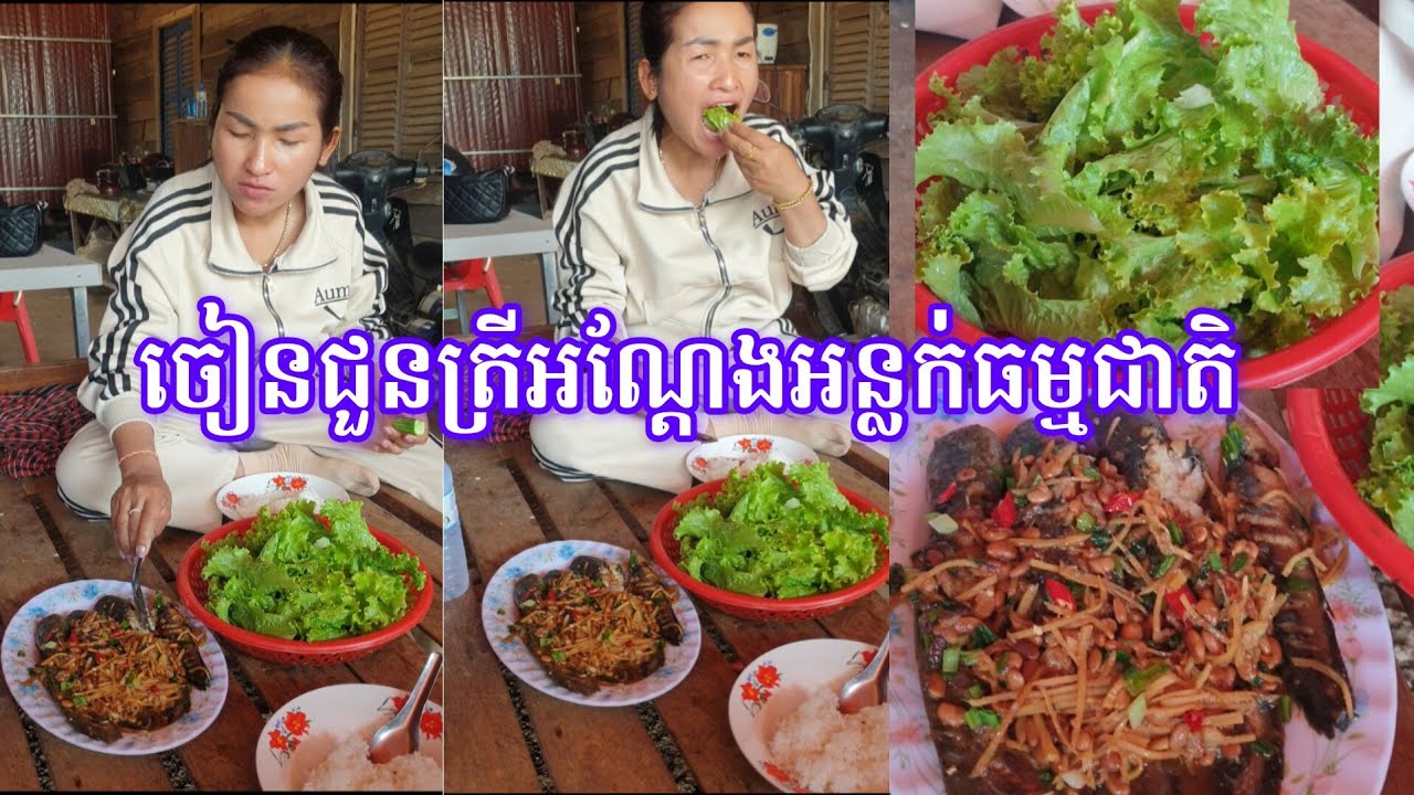 បាយថ្ងៃត្រង់សាមញ្ញ តែរសជាតិមិនសាមញ្ញ | ចៀនជួនត្រីអណ្ដែង + អន្លក់ធម្មជាតិ