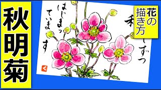 菊の絵　自分で描きました　イラスト　即購入可 mqdefault.jpg