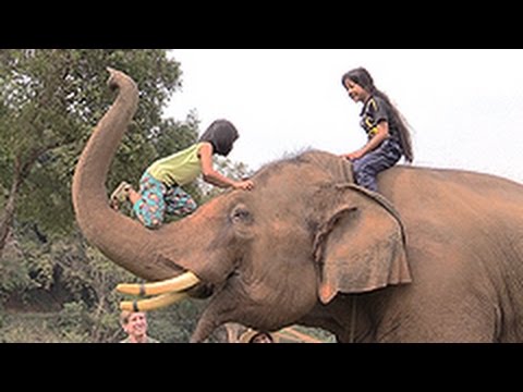 Protecting elephants, welcoming tourists