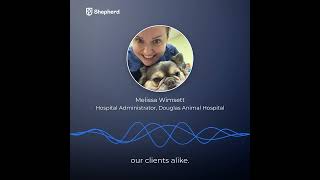 Douglas Animal Hospital Switched to Shepherd Vet Software And Never Looked Back