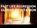 Dr Brian Weiss Past Life Regression through Progressive Relaxation Hypnosis by DNA