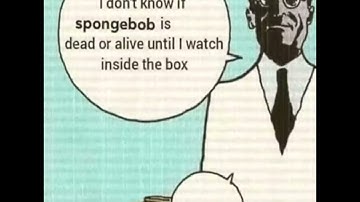 Schrödinger’s sponge