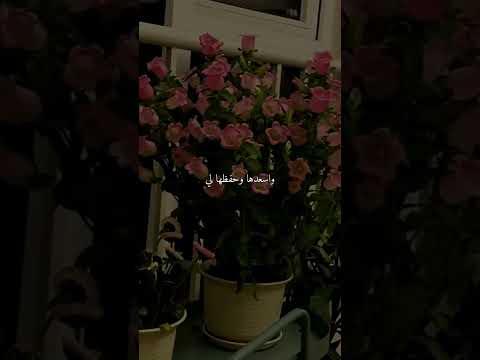 ربي ابعد عن امي متاعب الدنيا اكسبلور 