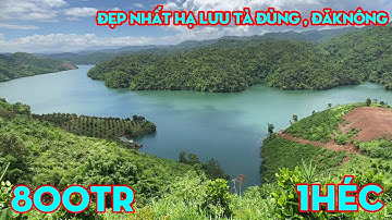 Bán 1HEC Đất Bám Mặt Hồ Siêu Đẹp,Hạ Lưu HỒ TÀ ĐÙNG,Khí Hậu Mát Mẻ,Phù Hợp Nghỉ Dưỡng,Giá 800 TRIỆU