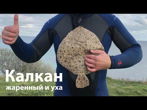 Калкан - разделка и приготовление черноморской камбалы proкухня