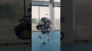 New Boston Dynamic robots show off their athletic skills