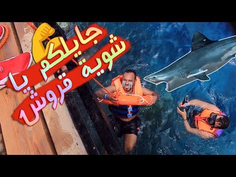 فلوج #02 رحلة شرم الشيخ ٢٠١٨ | +18